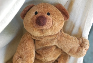 Brauner Teddybär