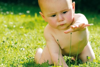 Krabbelndes Baby